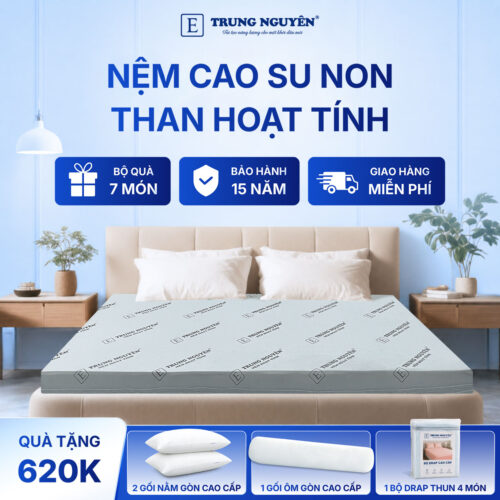 Nệm cao su non hoạt tính Trung Nguyên 60