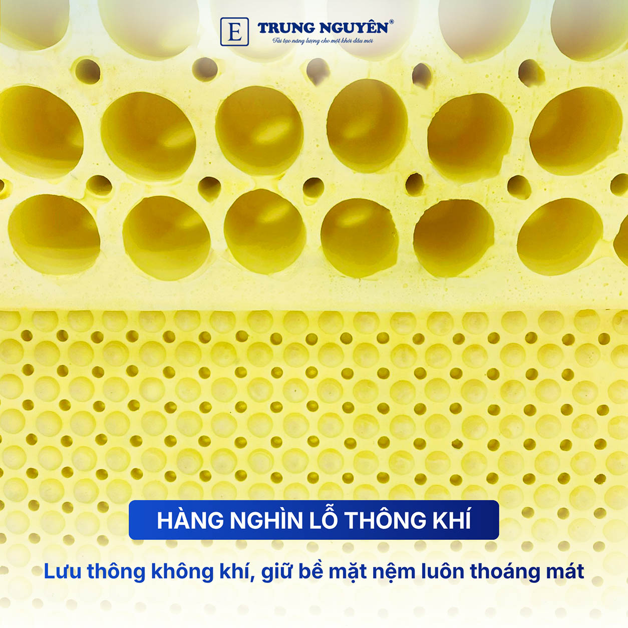 Có hàng nghìn lỗ thông khí, giúp bề mặt thoáng mát Có hàng nghìn lỗ thông khí, giúp bề mặt thoáng mát