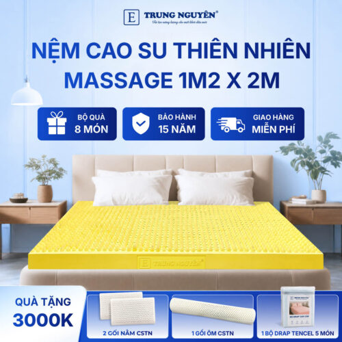 Nệm Cao Su Thiên Nhiên Trung Nguyên Massage 1m2 x 2m