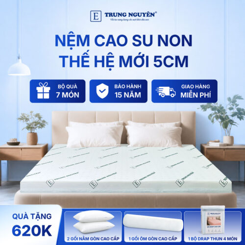 Nệm cao su non 5cm Trung Nguyên 1