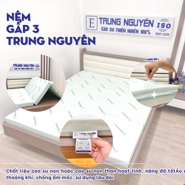 nệm cho phòng trọ gấp 3 trung nguyên