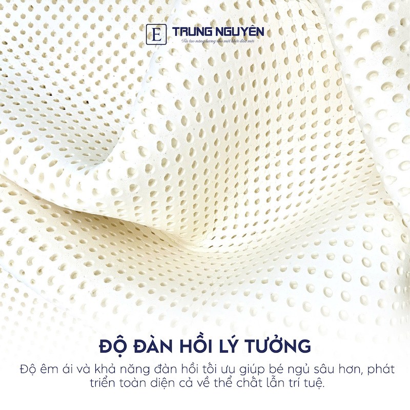 Nệm em bé Hegen Trung Nguyên