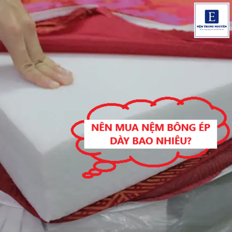 Tuỳ vào từng đối tượng mà chọn độ dày nệm bông ép phù hợp