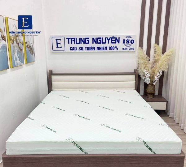 nệm cao su 1