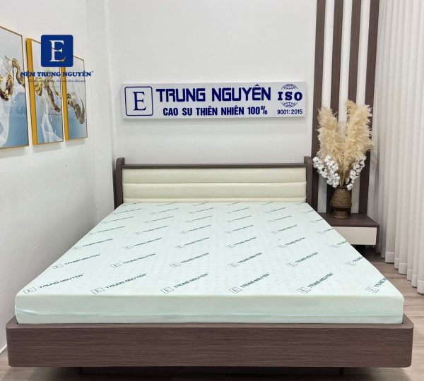 Nệm cao su 3