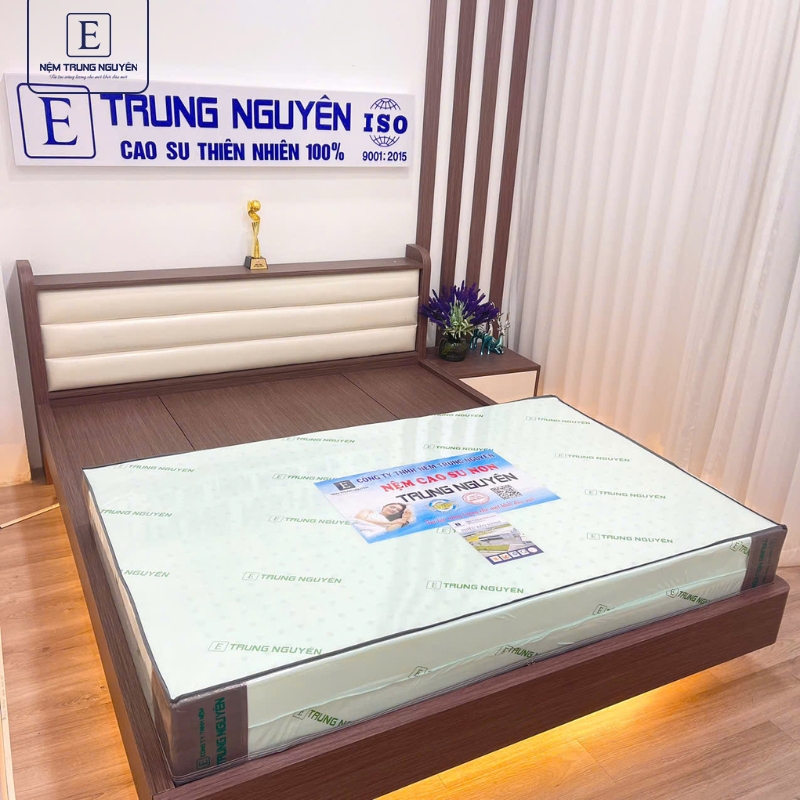 Nệm cao su non Trung Nguyên gấp 2 dày 5cm