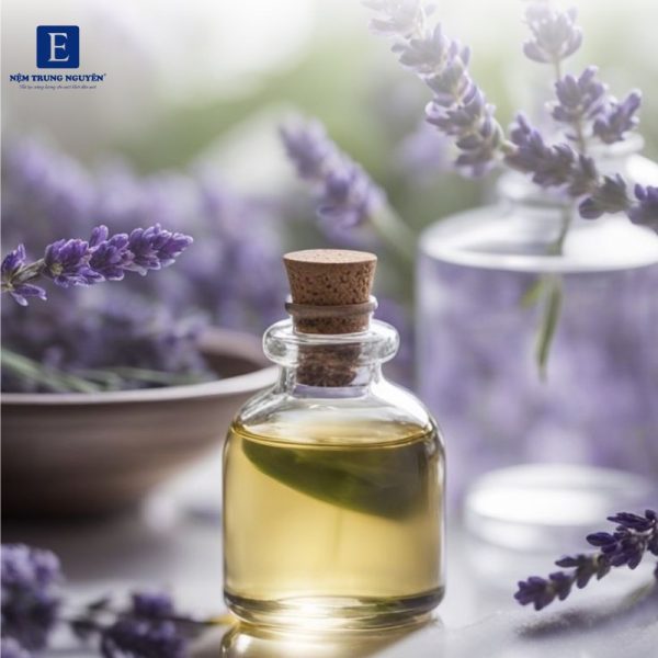 🌸 Lavender – “Nữ hoàng giấc ngủ” - hương thơm dễ ngủ