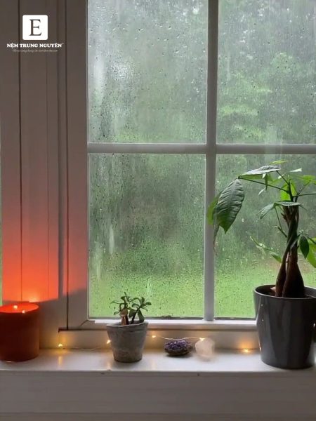 nhiệt độ mát mẻ vào mùa mưa