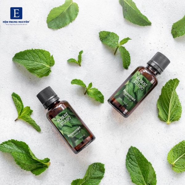 🌿 Bạc hà – Làm mát tâm trí, thanh lọc hơi thở hương thơm