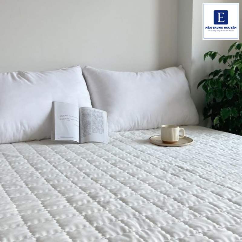 Cách khử mùi nôn theo từng loại nệm