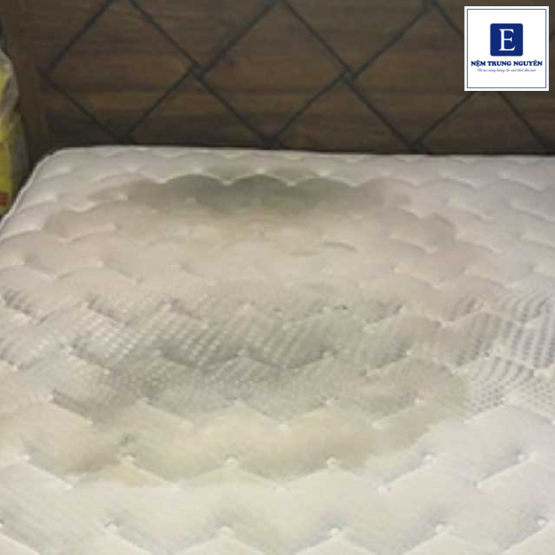 Nệm bị mốc sẽ xuất hiện những đốm li ti màu đen, xám hoặc trắng trên bề mặt nệm