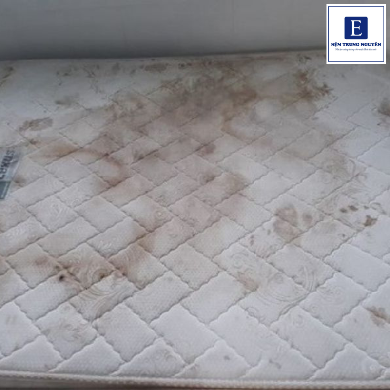 Có nhiều nguyên nhân khiến nệm bị mốc