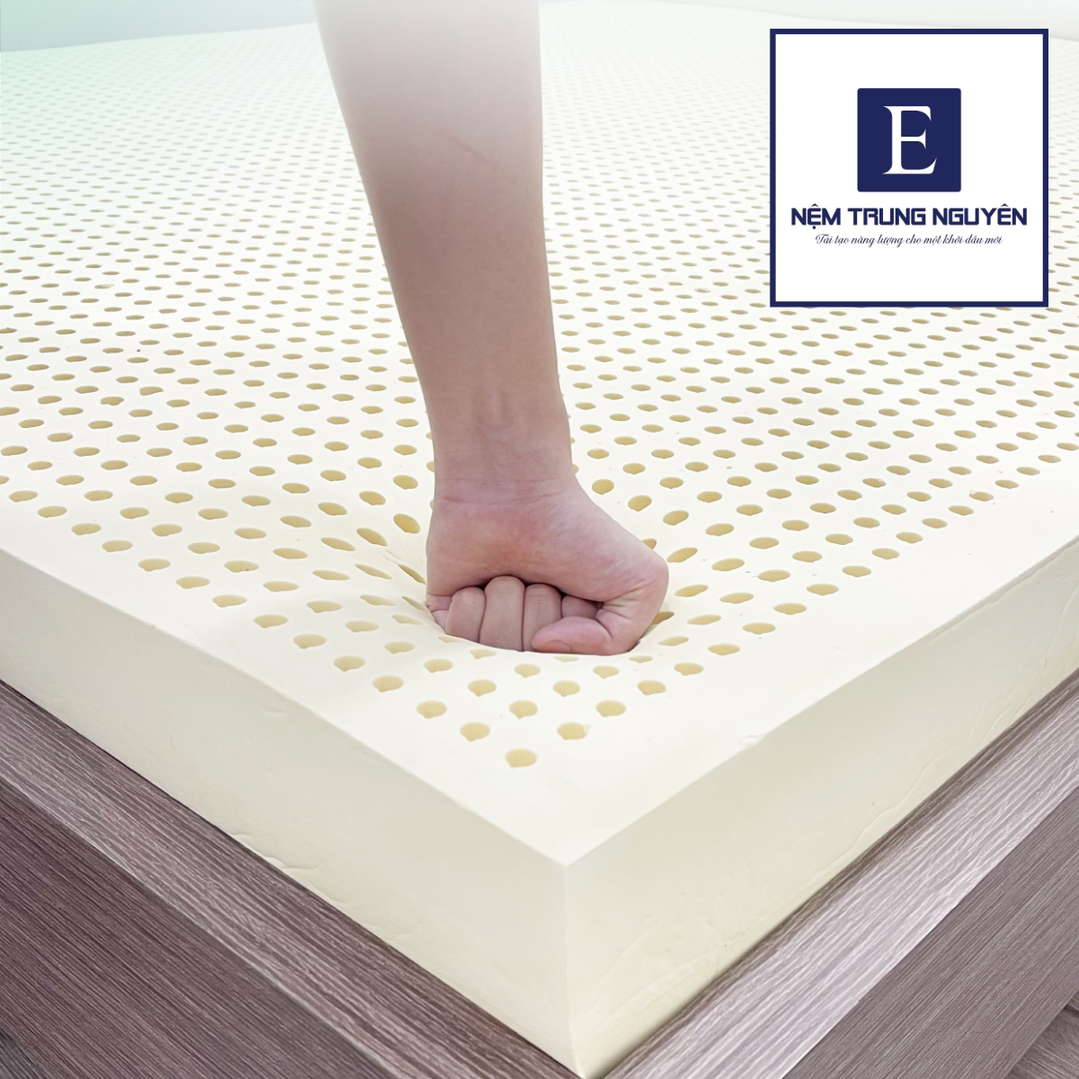 Giới thiệu về Nệm Đồng Phú Giới thiệu về Nệm Đồng Phú