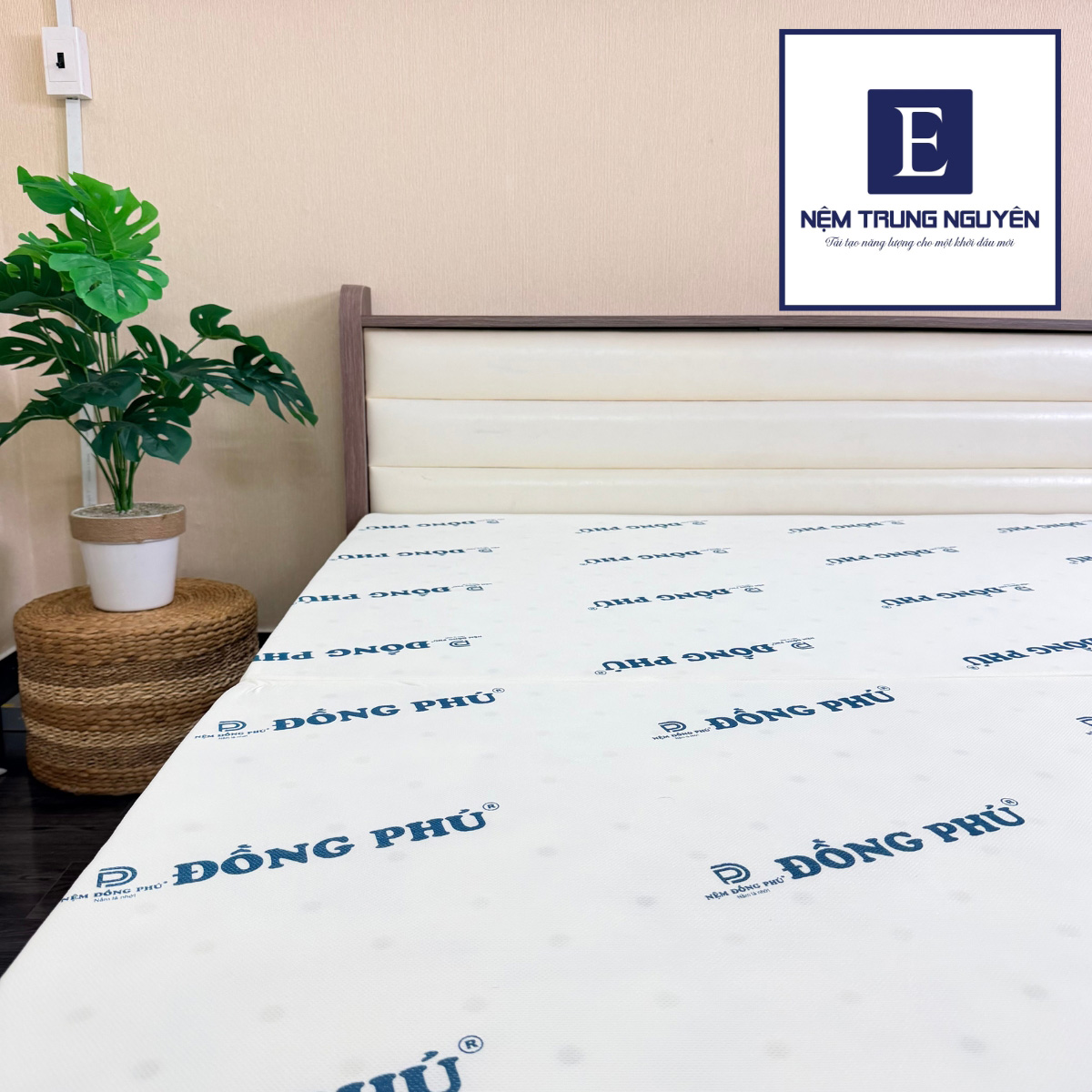 Nệm foam Đồng Phú cao cấp Nệm foam Đồng Phú cao cấp