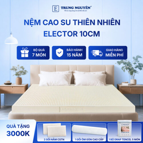 Nệm cao su thiên nhiên Trung Nguyên classic 10cm 60