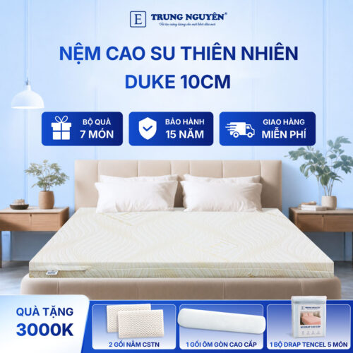 Nệm cao su thiên nhiên Trung Nguyên gold 10cm 60