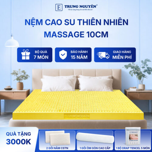 Nệm cao su thiên nhiên Trung Nguyên massage 10cm 60