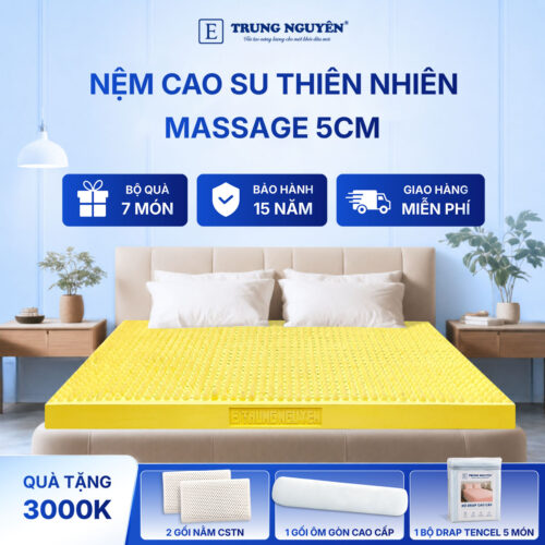 Nệm cao su thiên nhiên Trung Nguyên Massage 5cm 80