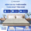 Nệm cao su thiên nhiên Trung Nguyên than hoạt tính 5cm 60