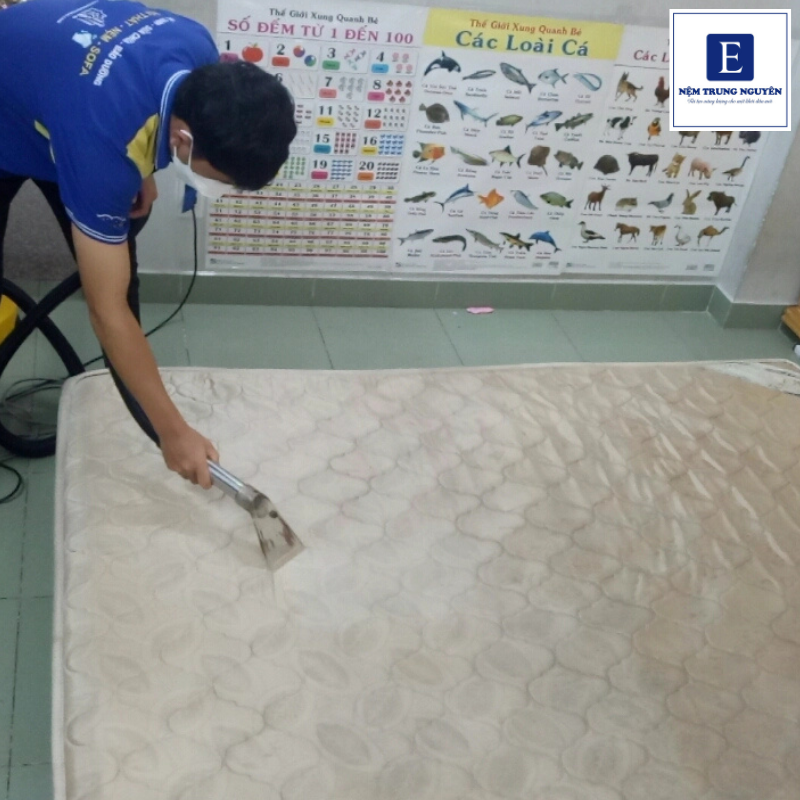 Việc giặt và bảo quản nệm đúng định kỳ sẽ giúp giữ cấu trúc nệm ổn định, hạn chế hư hỏng và kéo dài thời gian sử dụng