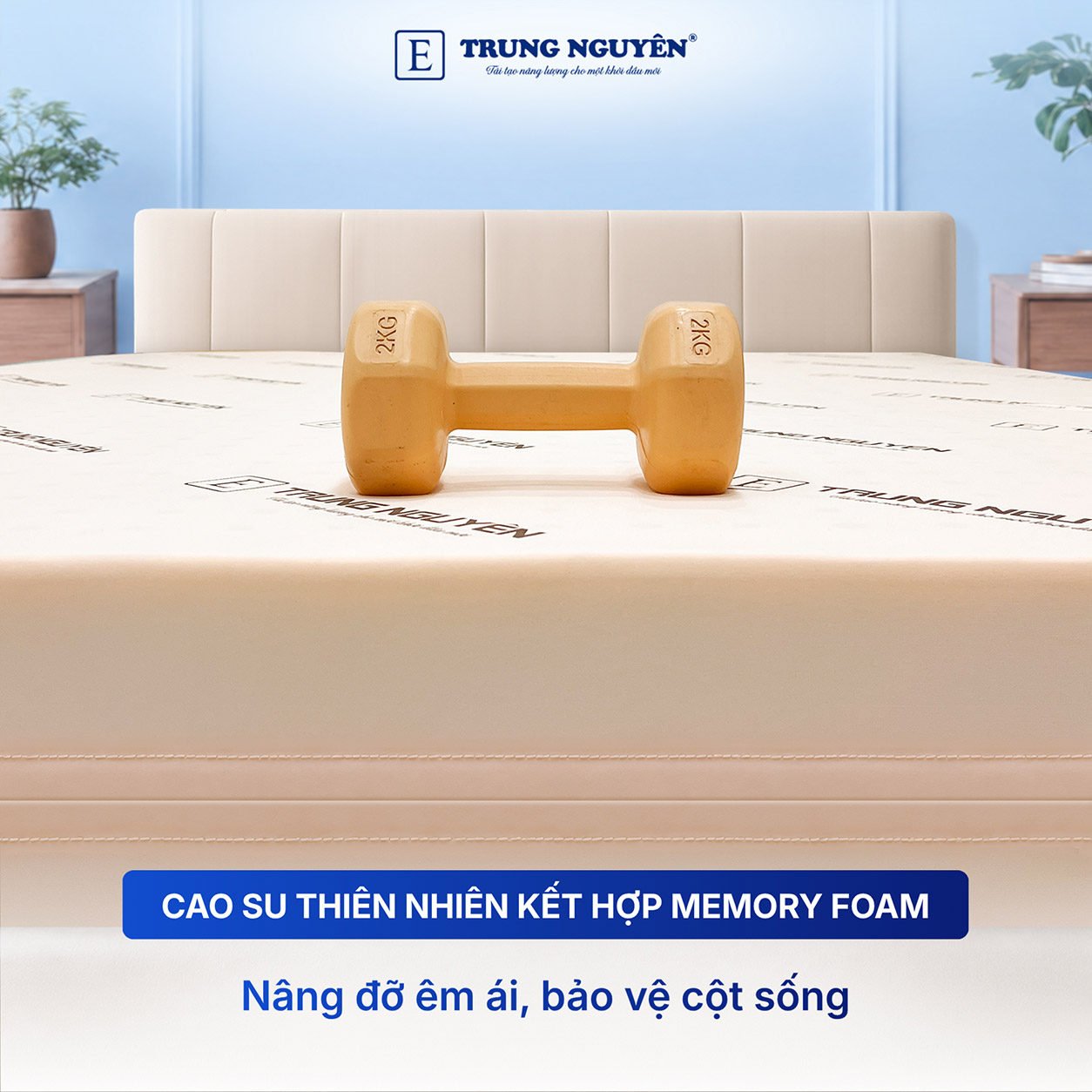 Nệm Rubber Foam Trung Nguyên