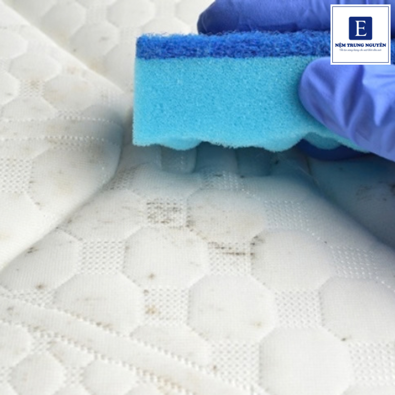 Bao lâu nên vệ sinh nệm foam 1 lần