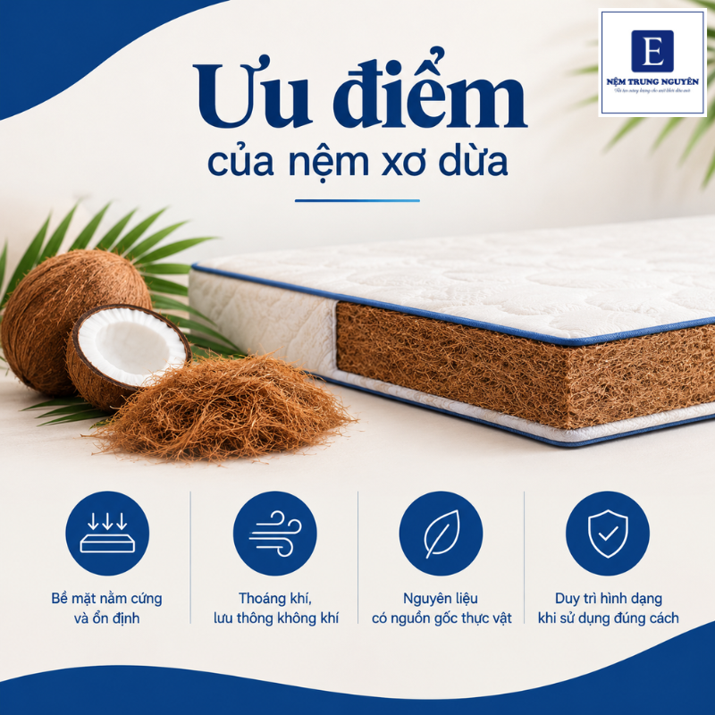 Nệm xơ dừa có những đặc điểm riêng về độ cứng, cấu trúc và nguyên liệu