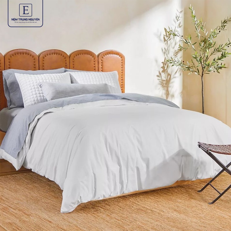 Chăn ga (drap) cotton