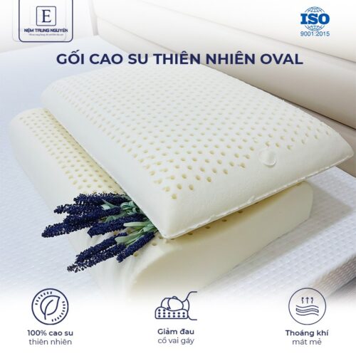Gối Oval Cao Su Thiên Nhiên Trung Nguyên