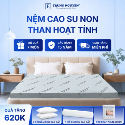 Nệm cao su non hoạt tính Trung Nguyên 1.1