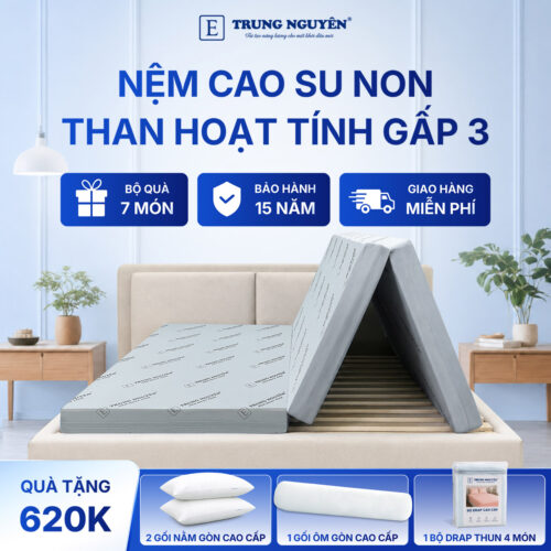 Nệm cao su non hoạt tính Trung Nguyên gấp 3 1.1