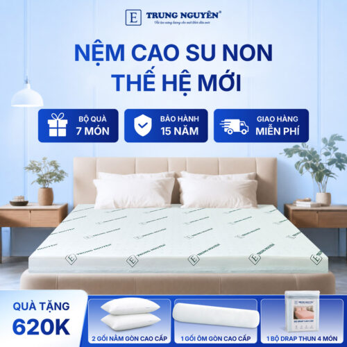 Nệm cao su non Trung Nguyên 1.1