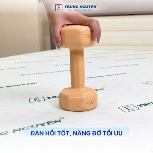 Nệm cao su non Trung Nguyên 1.2