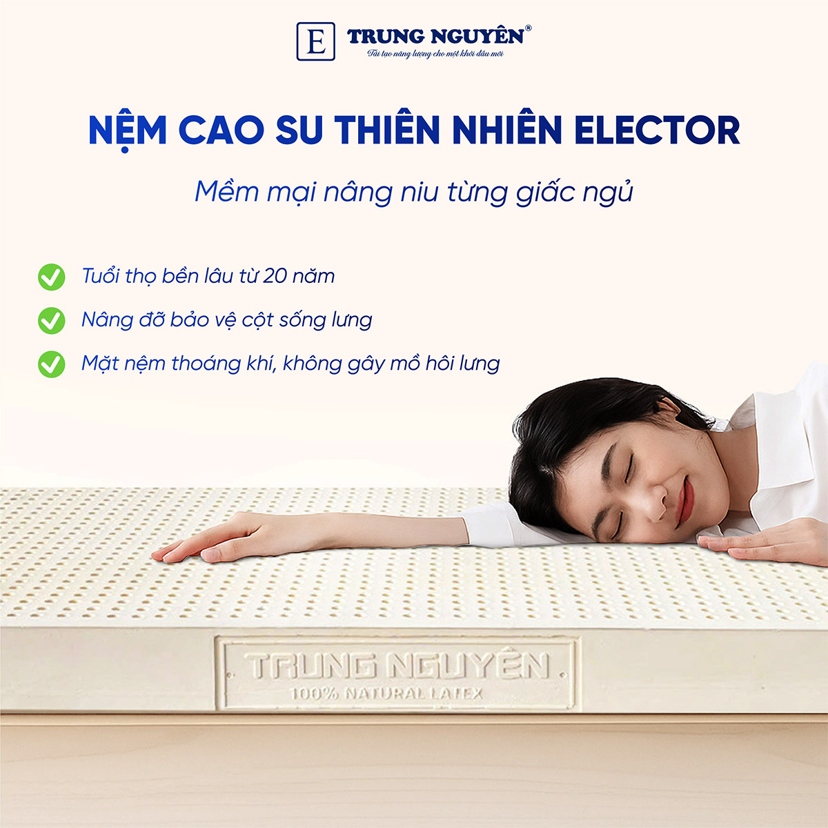 Nệm cao su thiên nhiên Elector Trung Nguyên