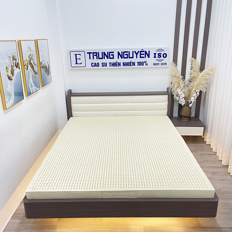 Nệm cao su thiên nhiên là gì?