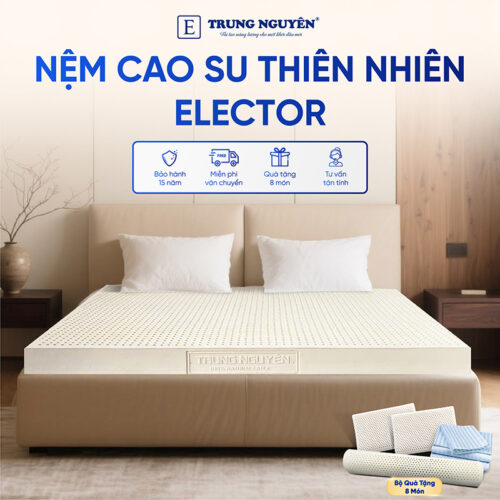 Nệm Cao Su Thiên Nhiên Trung Nguyên Classic 2m x 2m