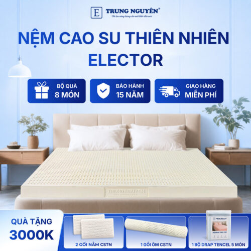 Nệm cao su thiên nhiên Trung Nguyên classic 60