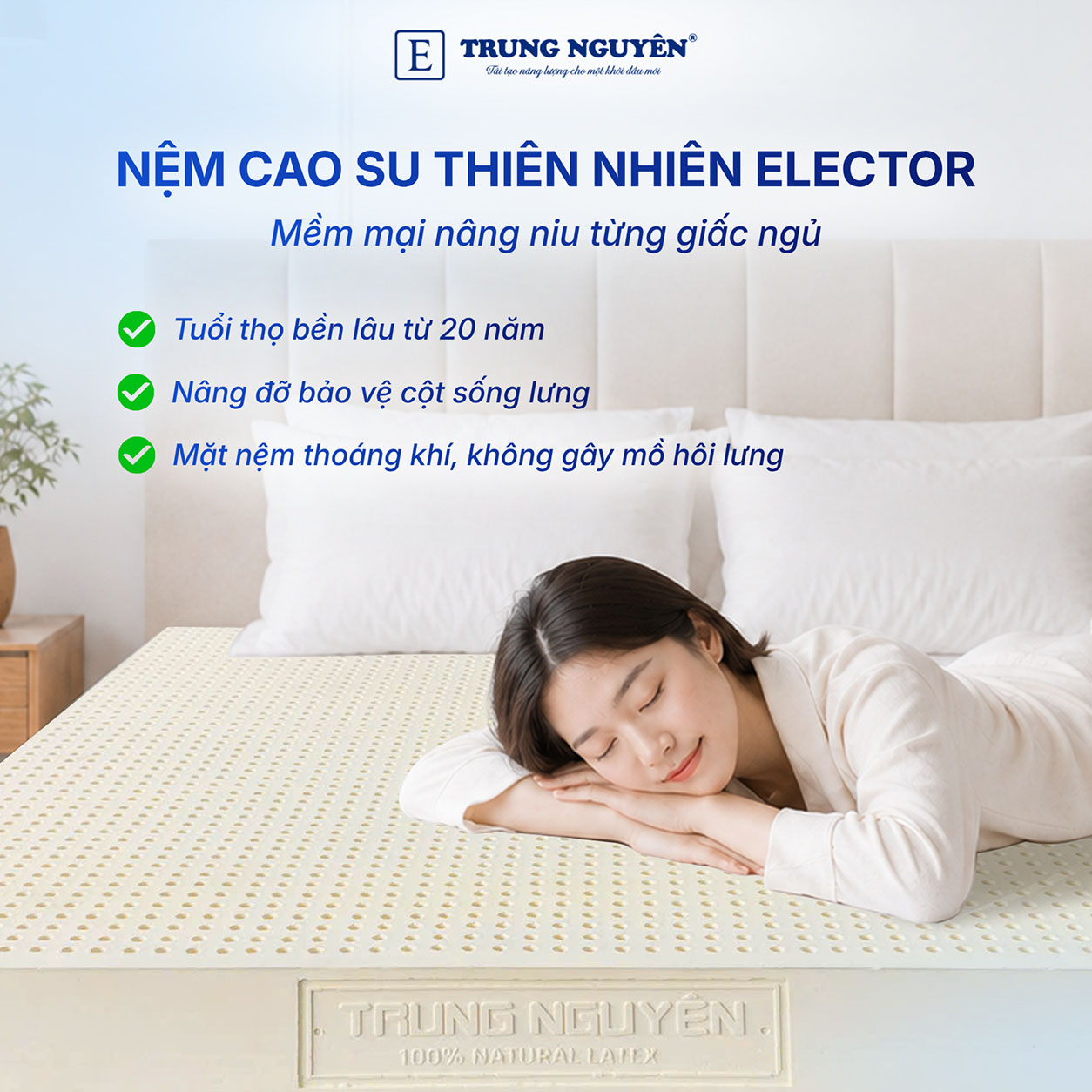 Dòng nệm cao su thiên nhiên này phù hợp với nhiều đối tượng khách hàng Dòng nệm cao su thiên nhiên này phù hợp với nhiều đối tượng khách hàng