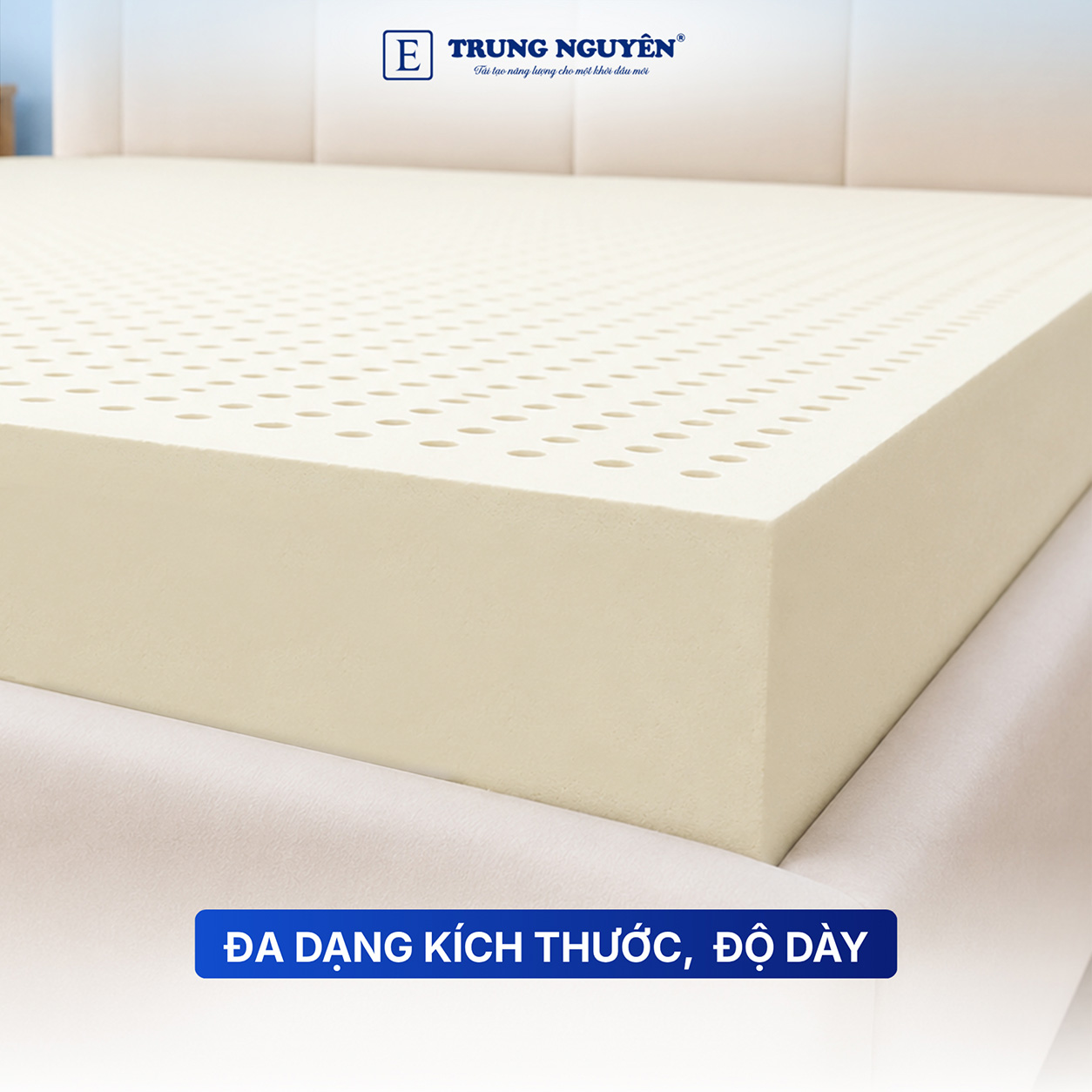 Đa dạng kích thước, độ dày Đa dạng kích thước, độ dày