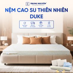 Nệm Cao Su Thiên Nhiên Trung Nguyên Gold