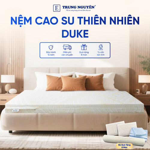 Nệm Cao Su Thiên Nhiên Trung Nguyên Gold 1m6 x 2m