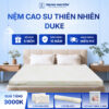 Nệm cao su thiên nhiên Trung Nguyên gold 60