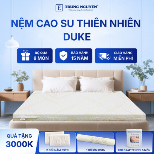 Nệm cao su thiên nhiên Trung Nguyên gold 60