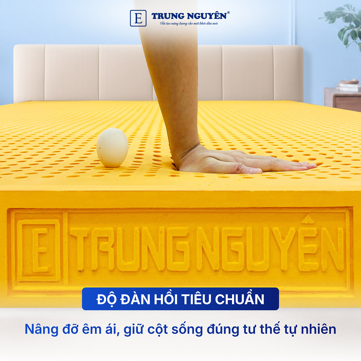 Độ đàn hồi tối ưu - Nâng đỡ chuẩn tư thế cột sống Độ đàn hồi tối ưu - Nâng đỡ chuẩn tư thế cột sống