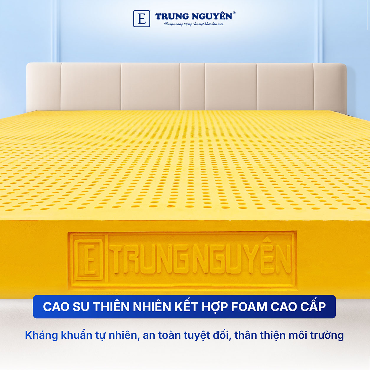 Chất liệu cao su thiên nhiên và Foam cao cấp Chất liệu cao su thiên nhiên và Foam cao cấp