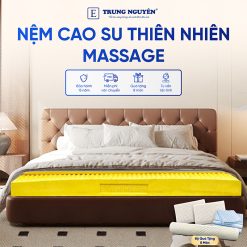 Nệm Cao Su Thiên Nhiên Trung Nguyên Massage