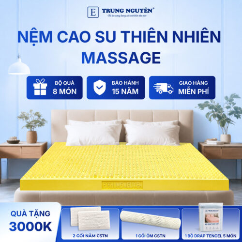 Nệm cao su thiên nhiên Trung Nguyên massage 60