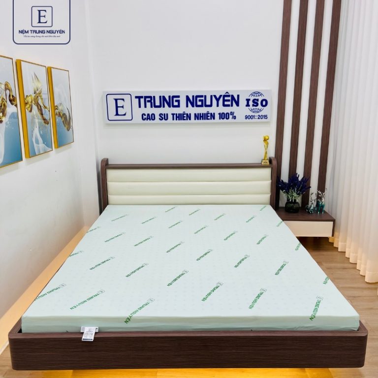 Mua nệm 1m x 2m (nệm 1m) chính hãng, giá tốt, freeship