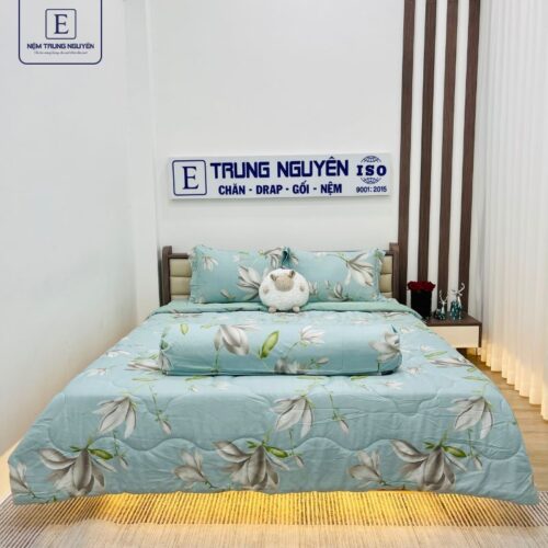Bộ drap Tencel Trung Nguyên 2m x 2m