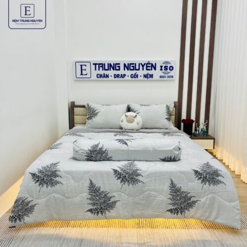 Bộ Drap Tencel Trung Nguyên 1m2 x 2m